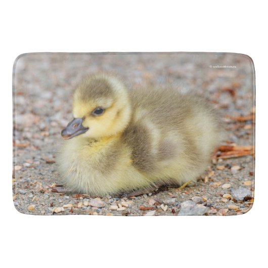 Adorable Baby Canada Goose on Gravel Badematte (Vorderseite)