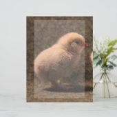 Adorable Baby Chick Stationery (Stehend Vorderseite)