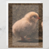 Adorable Baby Chick Stationery (Vorne/Hinten)