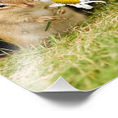 Adorable Baby Chipmunk mit Daisy Fotodruck (Ecke)