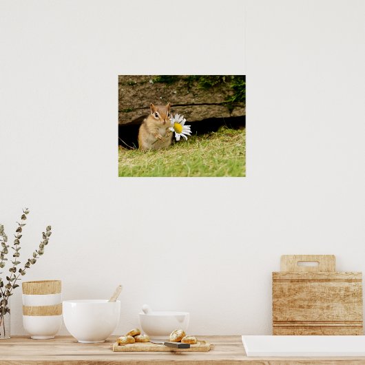 Adorable Baby Chipmunk mit Daisy Poster (Küche)