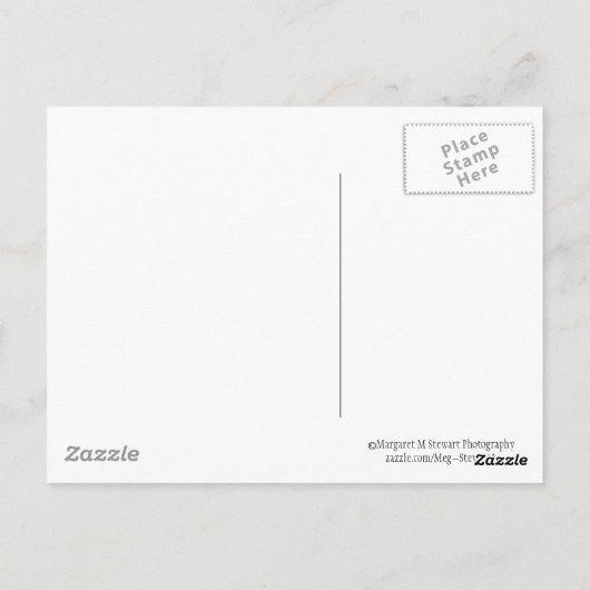 Adorable Baby Chipmunk mit Daisy Postkarte (Rückseite)