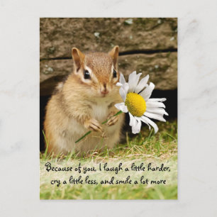 Adorable Baby Chipmunk mit Freundschaftsangebot Postkarte