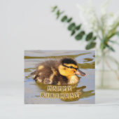Adorable Baby Duckling im Teich glücklich Geburtst Postkarte (Stehend Vorderseite)