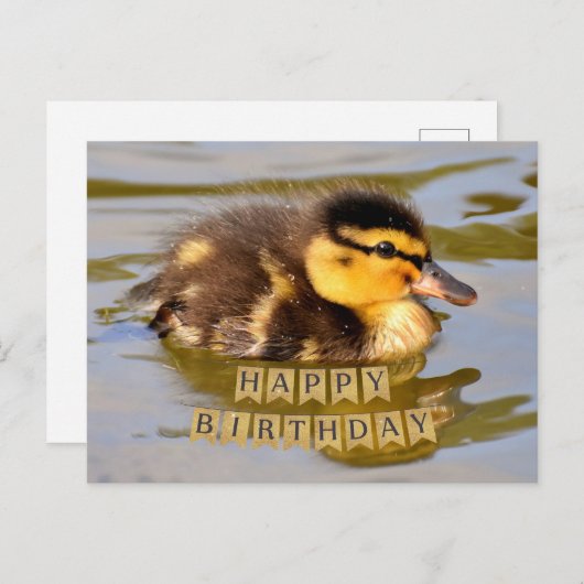 Adorable Baby Duckling im Teich glücklich Geburtst Postkarte (Vorne/Hinten)