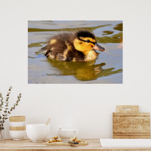 Adorable Baby Duckling im Teich Poster (Küche)