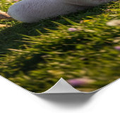 Adorable Baby Farm Animes Poster (Ecke)