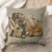 Adorable Baby Fawn Kissen (Decke)