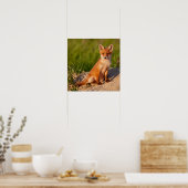 Adorable Baby Fox Wildlife Foto Poster (Küche)