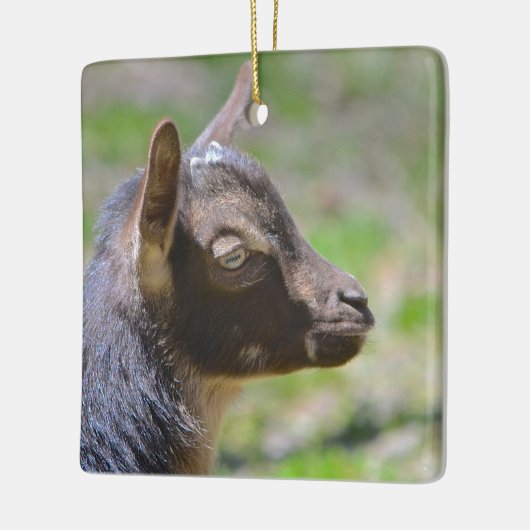 Adorable Baby Goat Keramikornament (Links)