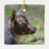 Adorable Baby Goat Keramikornament (Rückseite)