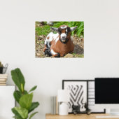 Adorable Baby Goat Kid Poster (Heimbüro)
