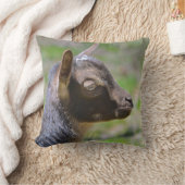 Adorable Baby Goat Kissen (Decke)