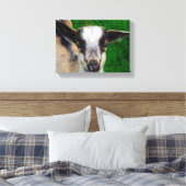Adorable Baby Goat Leinwanddruck (Insitu (Schlafzimmer))