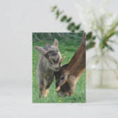 Adorable Baby Goat und Nubian Mother Goat Grazing Postkarte (Stehend Vorderseite)