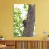 Adorable Baby Raccoon Leinwanddruck (Insitu (Wohnzimmer))