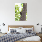 Adorable Baby Raccoon Leinwanddruck (Insitu (Schlafzimmer))