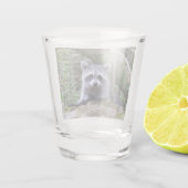Adorable Baby Raccoon Shotglas Schnapsglas (Rückseite)
