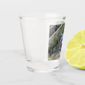 Adorable Baby Raccoon Shotglas Schnapsglas (Links)