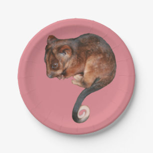 Adorable Baby Ringtail Possum in Australien Pappteller