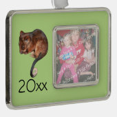 Adorable Baby Ringtail Possum in Australien Rahmen-Ornament Silber (Rechts)