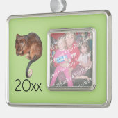 Adorable Baby Ringtail Possum in Australien Rahmen-Ornament Silber (Links)