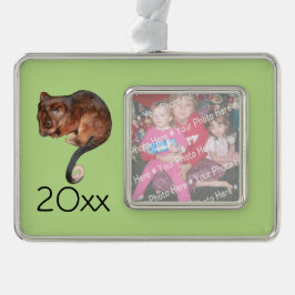 Adorable Baby Ringtail Possum in Australien Rahmen-Ornament Silber