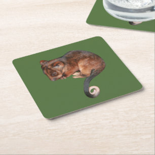 Adorable Baby Ringtail Possum in Australien Rechteckiger Pappuntersetzer