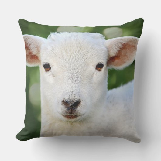 Adorable Baby Sheep Kissen (Vorderseite)