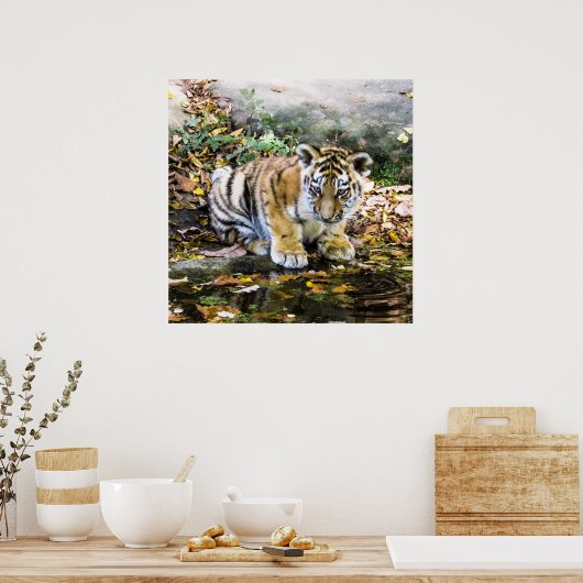 Adorable Baby Tiger Cub Poster (Küche)