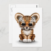 Adorable Baby Tiger Cube auf Weiß Postkarte (Vorne/Hinten)