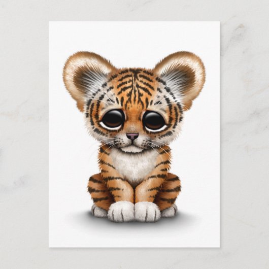 Adorable Baby Tiger Cube auf Weiß Postkarte (Vorderseite)