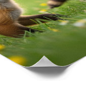 Adorable Babywaldtiere Poster (Ecke)