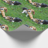 Adorable Beagle Welpen umarmen Krieg Geschenkpapier (Ecke)