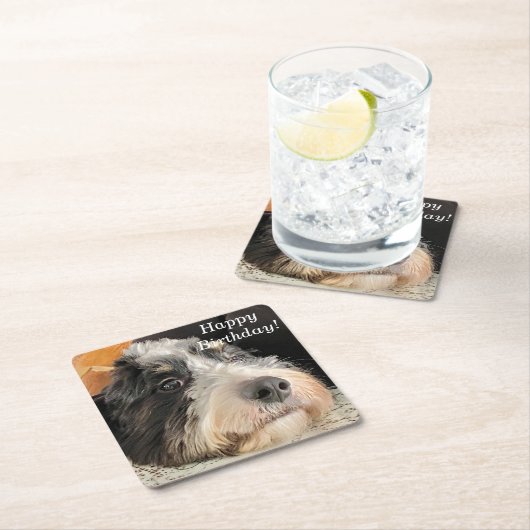 Adorable Bernedoodle Rechteckiger Pappuntersetzer (Vor Ort)