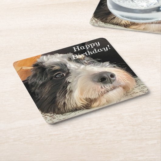 Adorable Bernedoodle Rechteckiger Pappuntersetzer (angewinkelt)