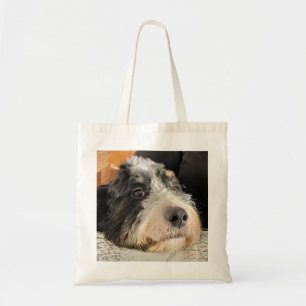 Adorable Bernedoodle Tragetasche