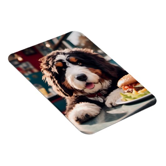 Adorable Bernerdoodle am Diner Magnet (Rechte Seite)