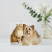 Adorable Best Friends Dog and Cat Foto Postkarte (Stehend Vorderseite)