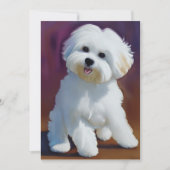 Adorable Bichon Havanese Puppy Watercolor Karte (Vorderseite)