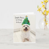 Adorable Bichon Maltese Weihnachtskarte Santa Paws Karte (Gelbe Blume)