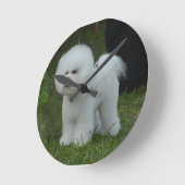 Adorable Bichon Runde Wanduhr (Winkel)