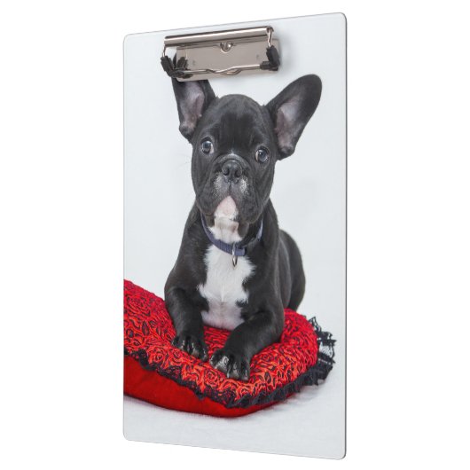 Adorable Black and White Bulldog Puppy Photo Klemmbrett (Links)