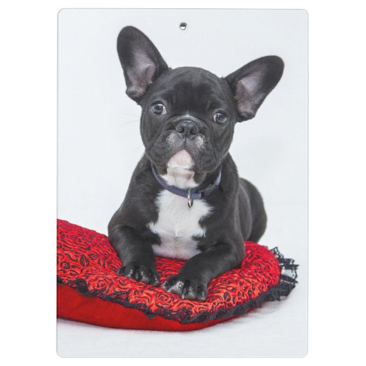 Adorable Black and White Bulldog Puppy Photo Klemmbrett (Rückseite)