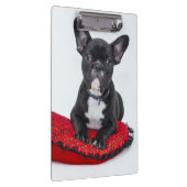 Adorable Black and White Bulldog Puppy Photo Klemmbrett (Rechts)