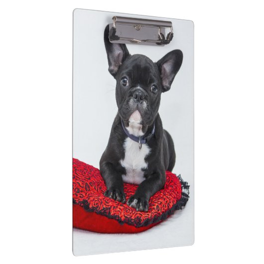 Adorable Black and White Bulldog Puppy Photo Klemmbrett (Rechts)