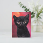 Adorable Black Kitten Postkarte (Stehend Vorderseite)