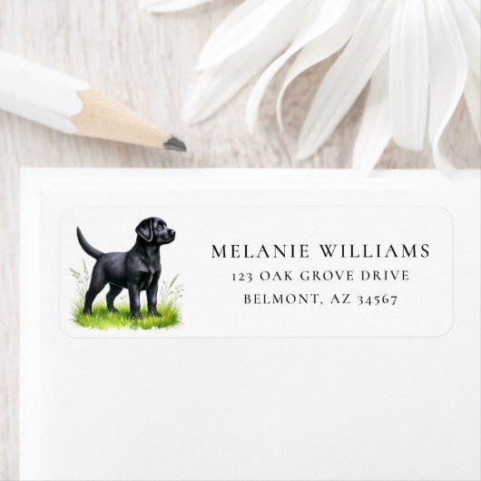 Adorable Black Lab Puppy-Rücksendeadresse (Insitu)