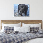 Adorable Black Lab Welpenhund Leinwanddruck (Insitu (Schlafzimmer))