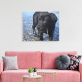 Adorable Black Lab Welpenhund Leinwanddruck (Insitu (Wohnzimmer))